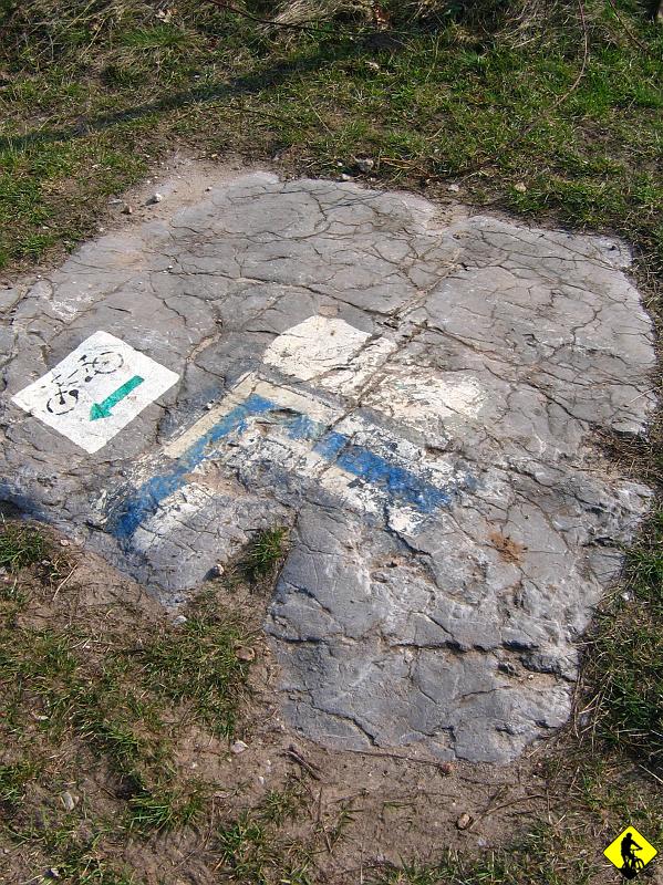 fota 015.jpg - Nie spieszę się, staram się trzymać tętno i ciągle jechać.